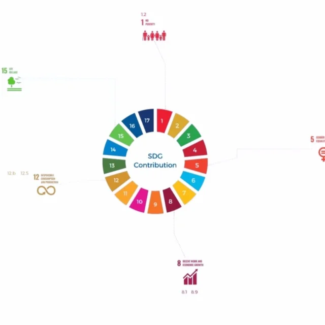 🌍✨ Chez Makhtoum, nous ne produisons pas seulement des produits naturels,
nous construisons aussi un avenir durable 💚

📊 Comme illustré sur ce graphique, notre engagement s’aligne avec plusieurs Objectifs de Développement Durable (ODD) des Nations Unies :

🔴 Éradication de la pauvreté (ODD 1)
🟣 Égalité des genres et autonomisation des femmes (ODD 5)
🟠 Travail décent et croissance économique (ODD 8)
🟡 Consommation et production responsables (ODD 12)
🟢 Préservation de la vie terrestre (ODD 15)

🌱 À travers nos produits artisanaux, nos pratiques durables et notre soutien aux femmes rurales, nous participons activement à un monde plus équitable et respectueux de la nature.

📍Rejoignez notre mission. Ensemble, créons un impact positif 🤝
🔗 www.makhtoum98.tn

#Makhtoum98 #DéveloppementDurable #ODD #ProduitNaturel #ArtisanatTunisien #ConsommationResponsable #ImpactPositif #RespectDeLaNature #Objectifs2030